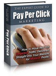 Expert Guide to PPC